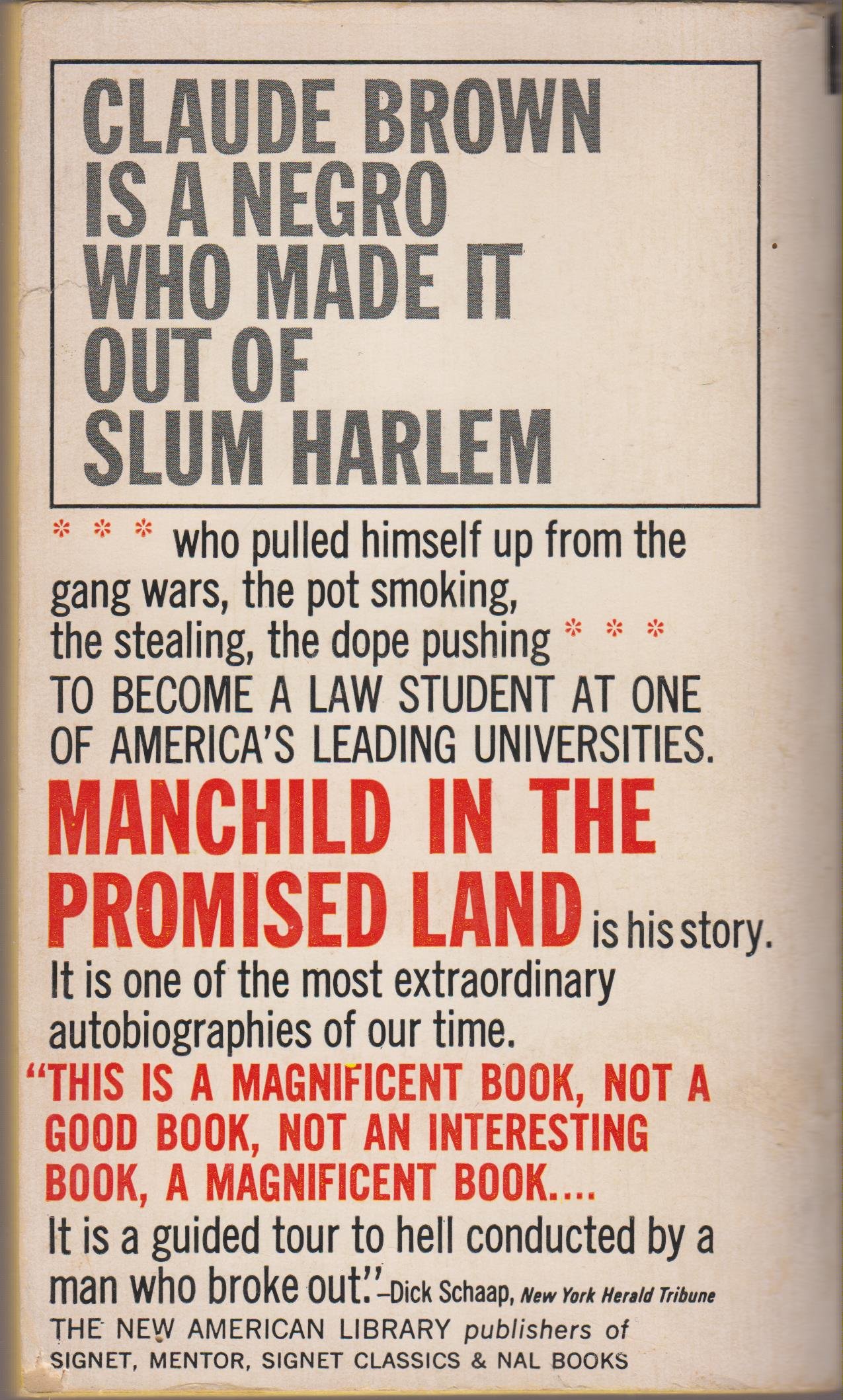 Manchild in the Promised Land