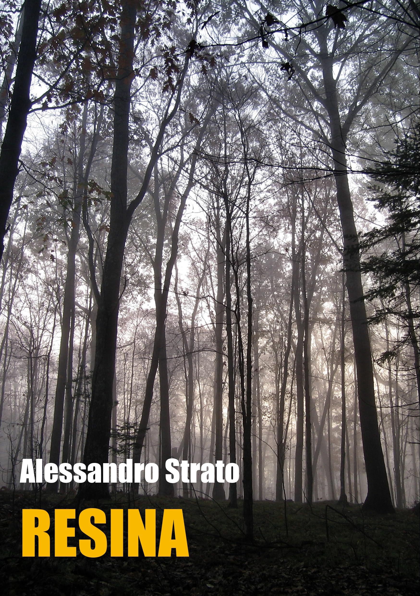 Strato Book RESINA (Saga polar Vol. 2) (Italian Edition) by Alessandro Strato ...