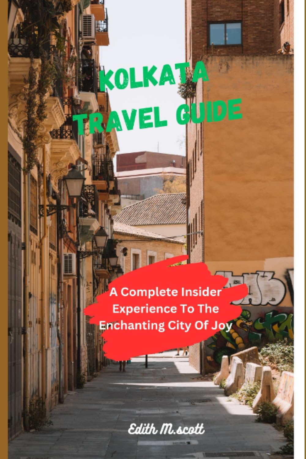 Kolkata visual data 6