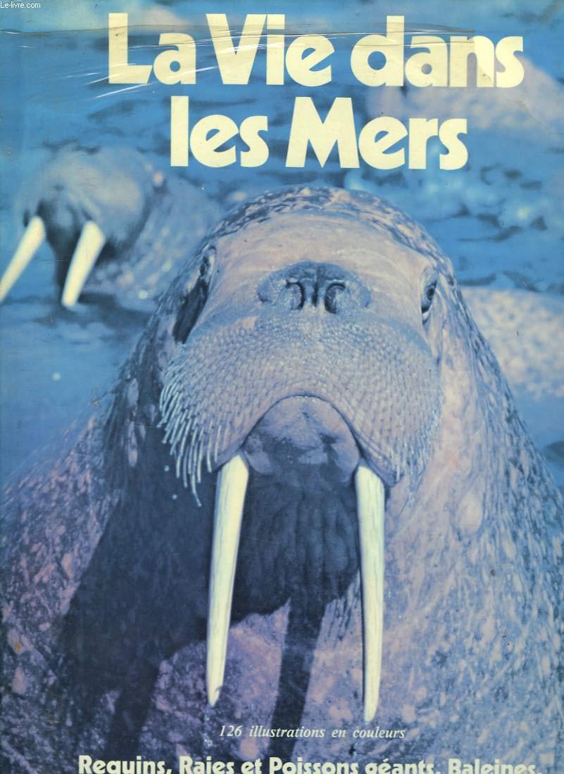 À La Vie, à La Mer, Tome 1 - Ricossé Julie