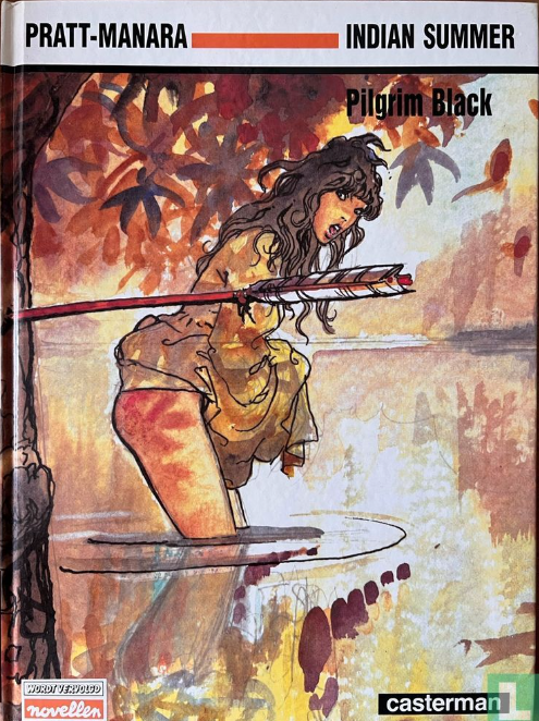 Indian summer book cover
