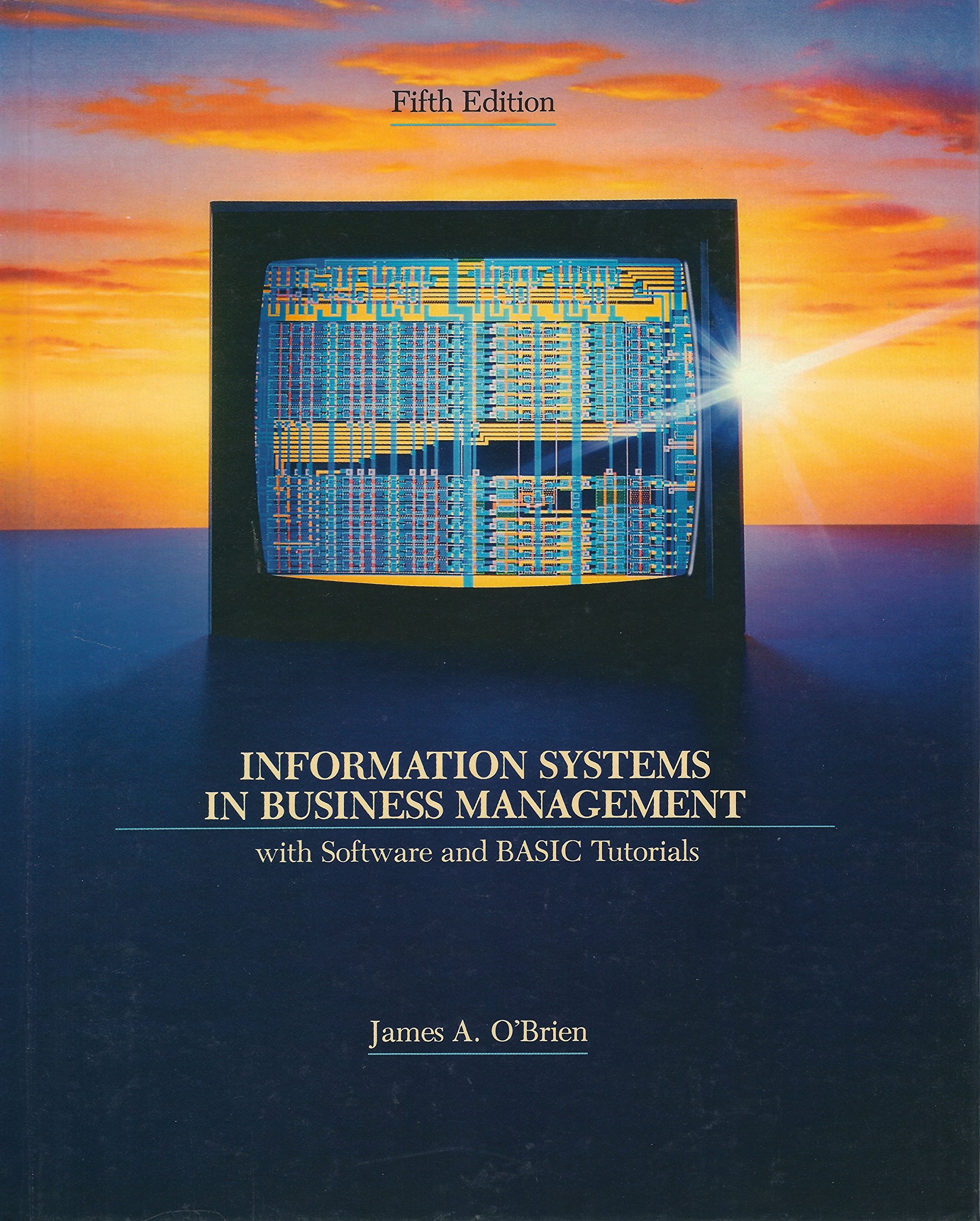 Information Systems in Business Management: With Software and Basic ...