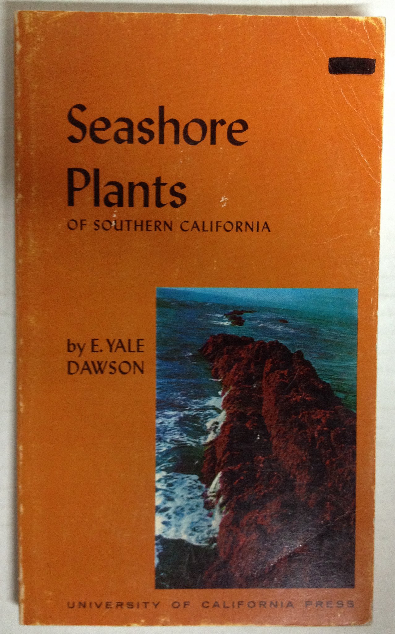 Seashore Plants of Southern California book cover