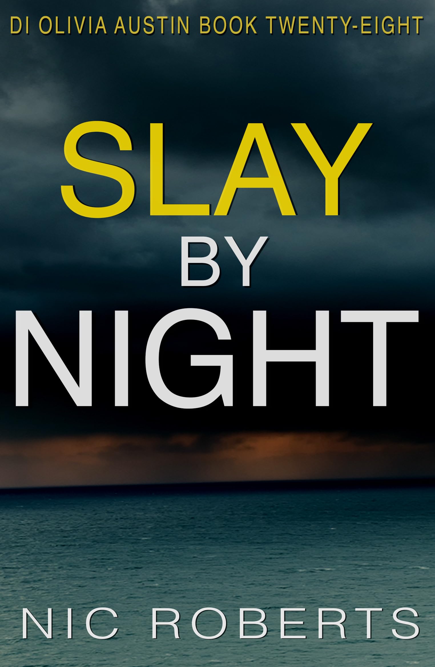 Slay By Night (DI Olivia Austin Book 28): A fast-paced crime thriller