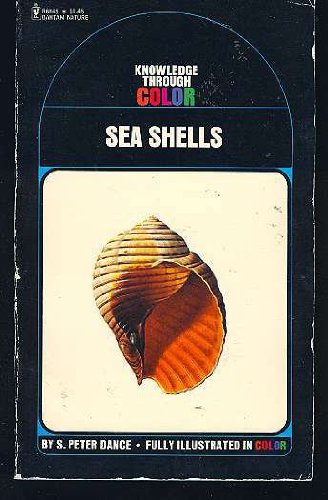 Sea shells, book cover