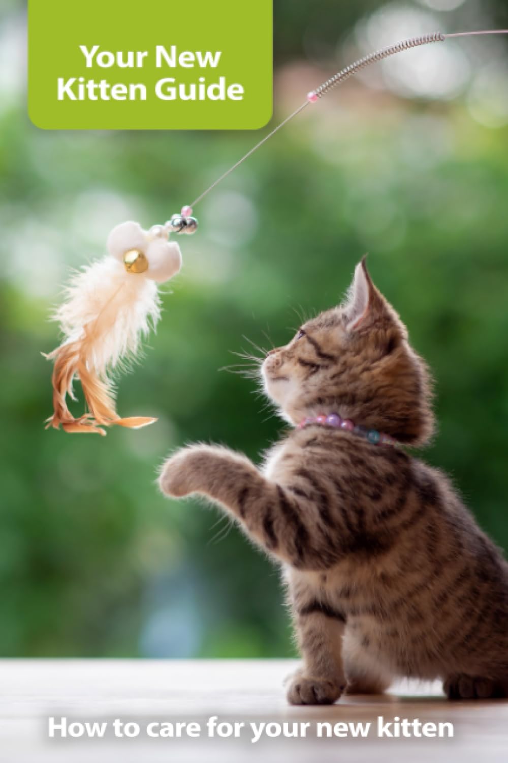 your-new-kitten-guide-how-to-care-for-your-new-kitten-by-stu-edwards