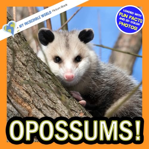 Opossums!: A My Incredible World Picture Book for Children by Hope ...
