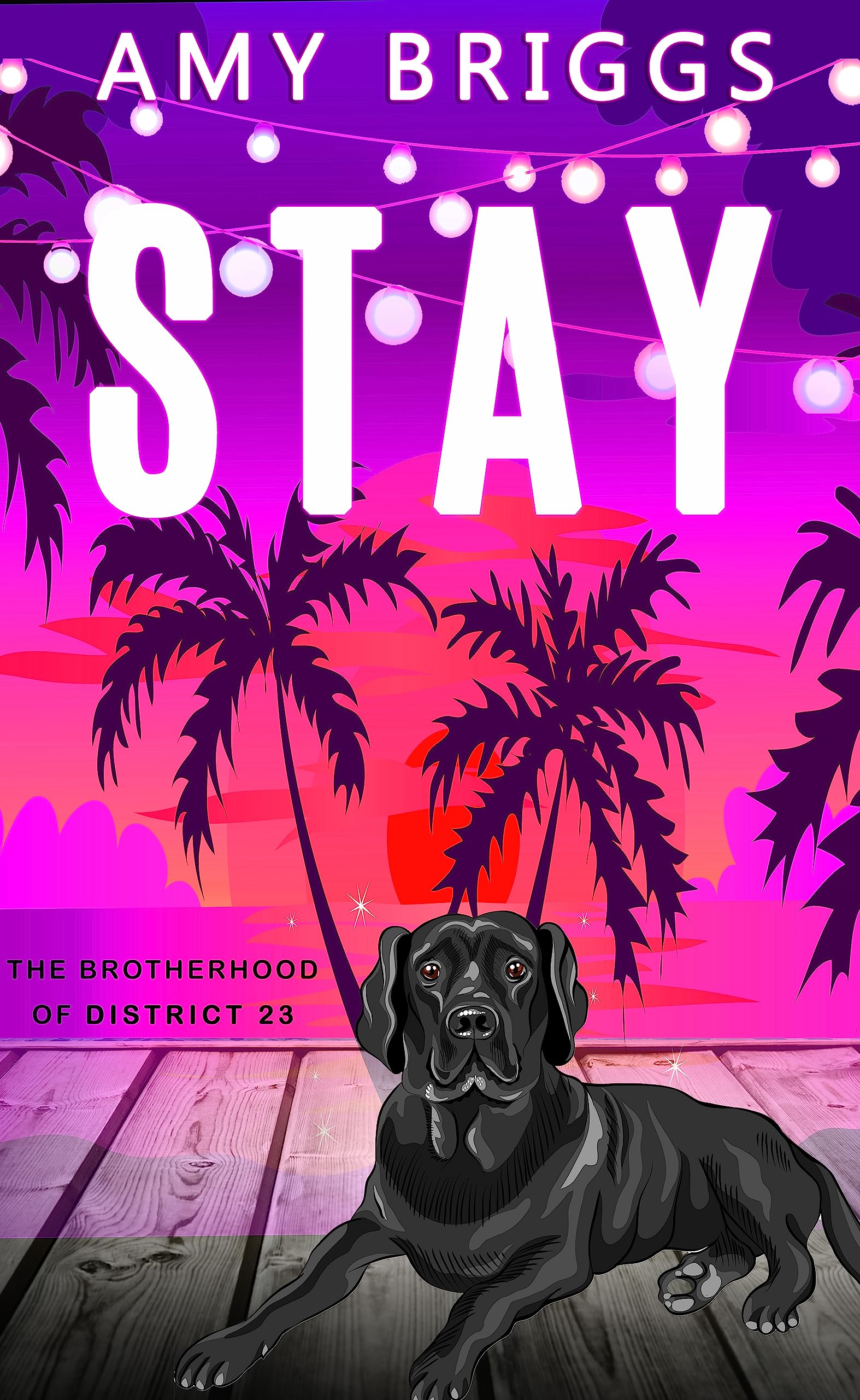 Stay book cover