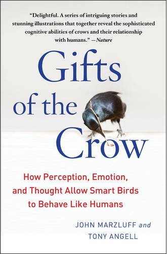 Gifts of the Crow: How Perception, Emotion, and Thought Allow Smart Birds to Behave Like Humans by John Marzluff (21-May-2015) Paperback