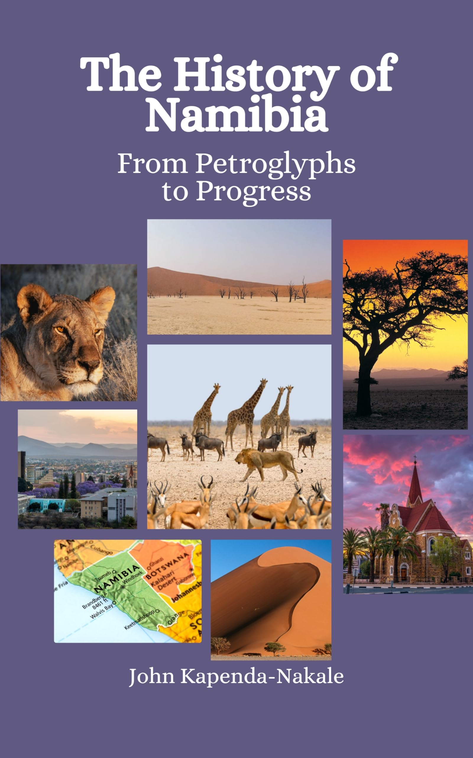 The History of Namibia: From Petroglyphs to Progress by John Kapenda