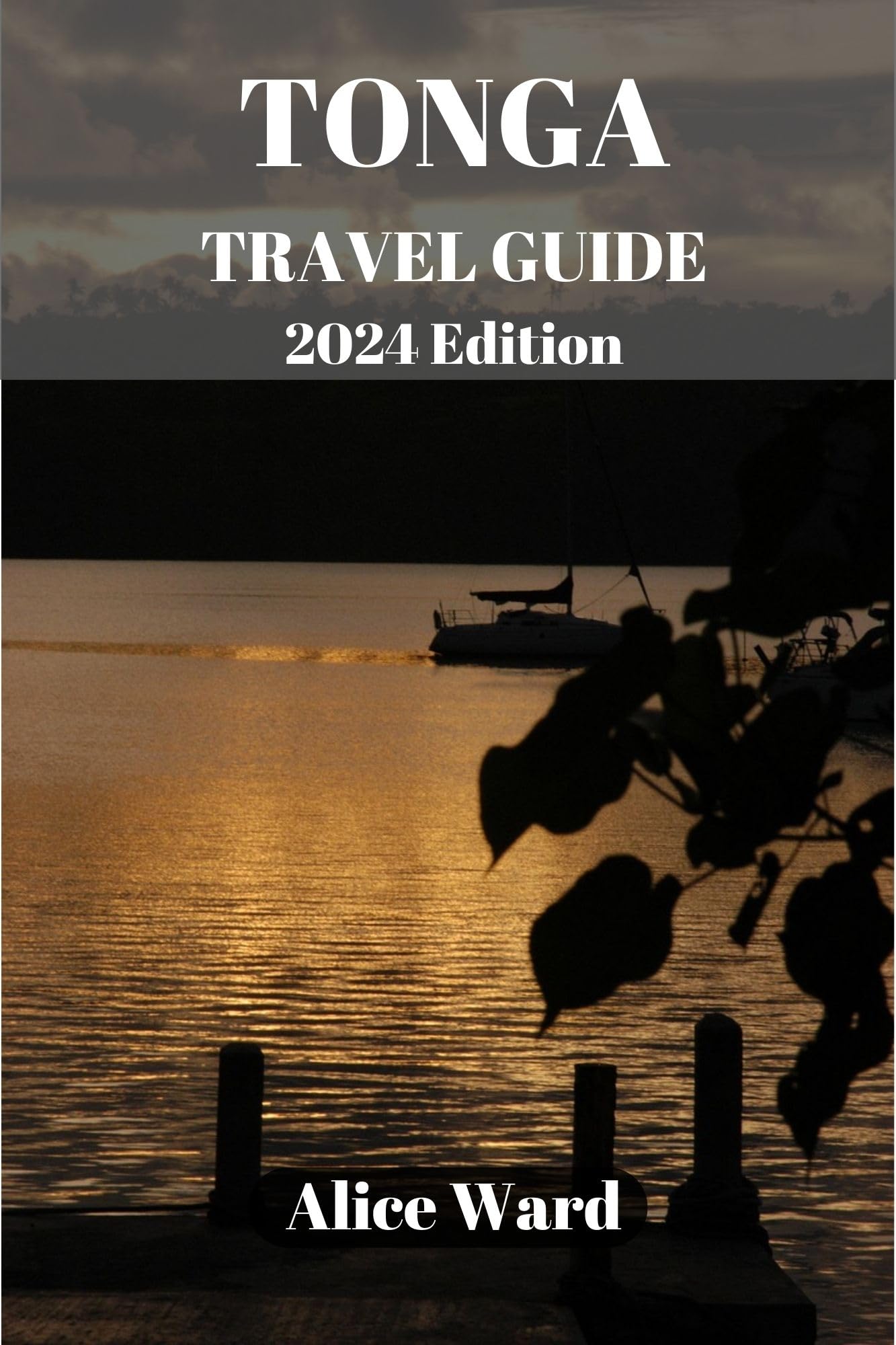 TONGA TRAVEL GUIDE 2024 Edition: Unveiling the Hidden Gems: A