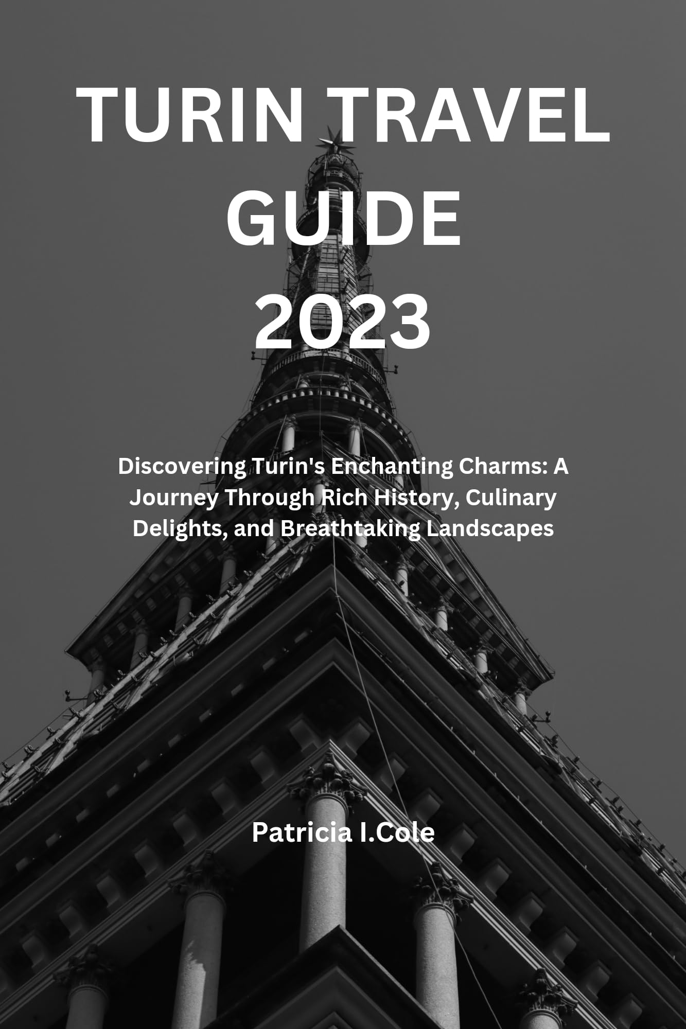 Turin Travel Guide 2023: Discovering Turin's Enchanting Charms: A Turin Travel Guide 2023: Discovering Turin's Enchanting Charms: A
