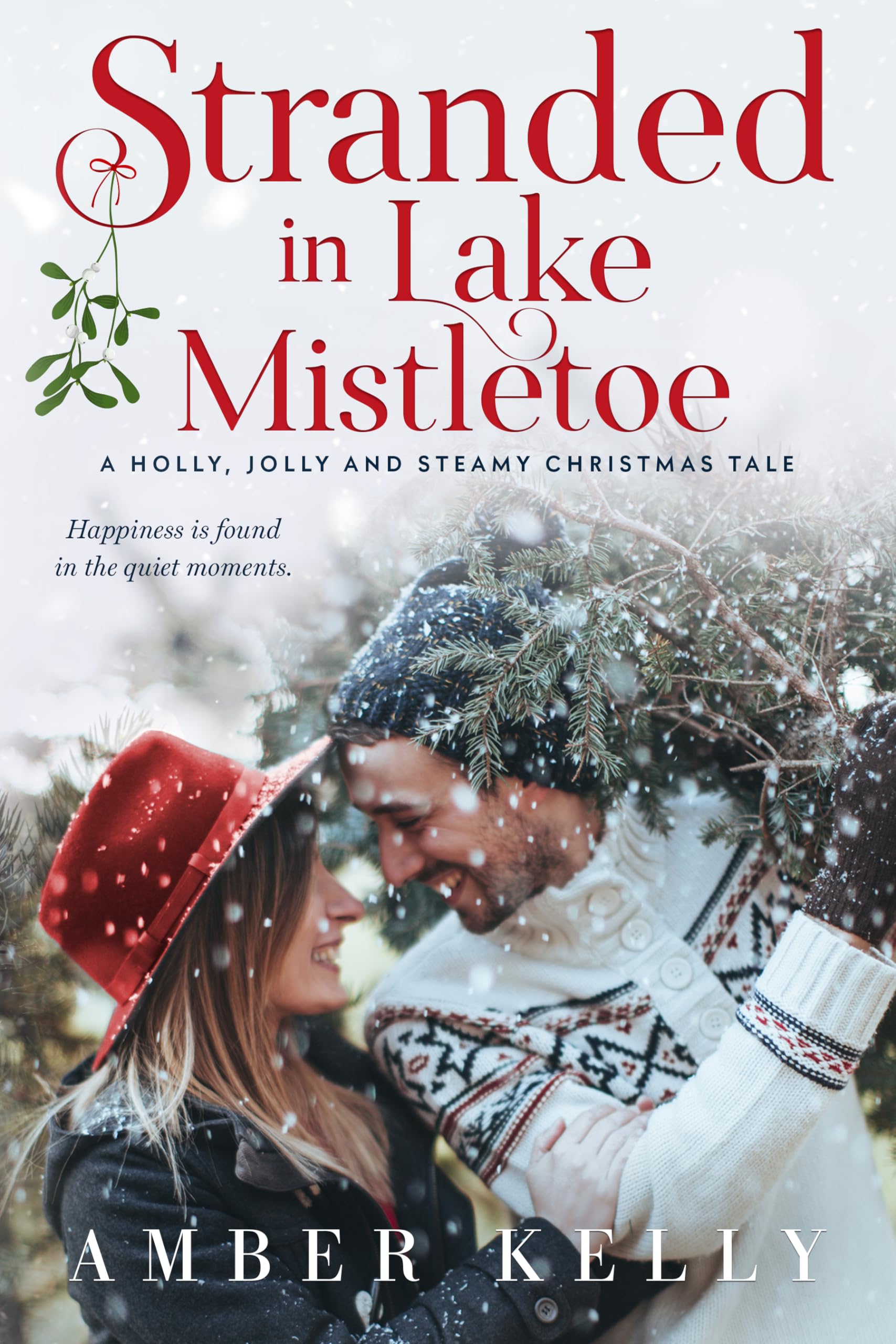 Lake Mistletoe book cover 3