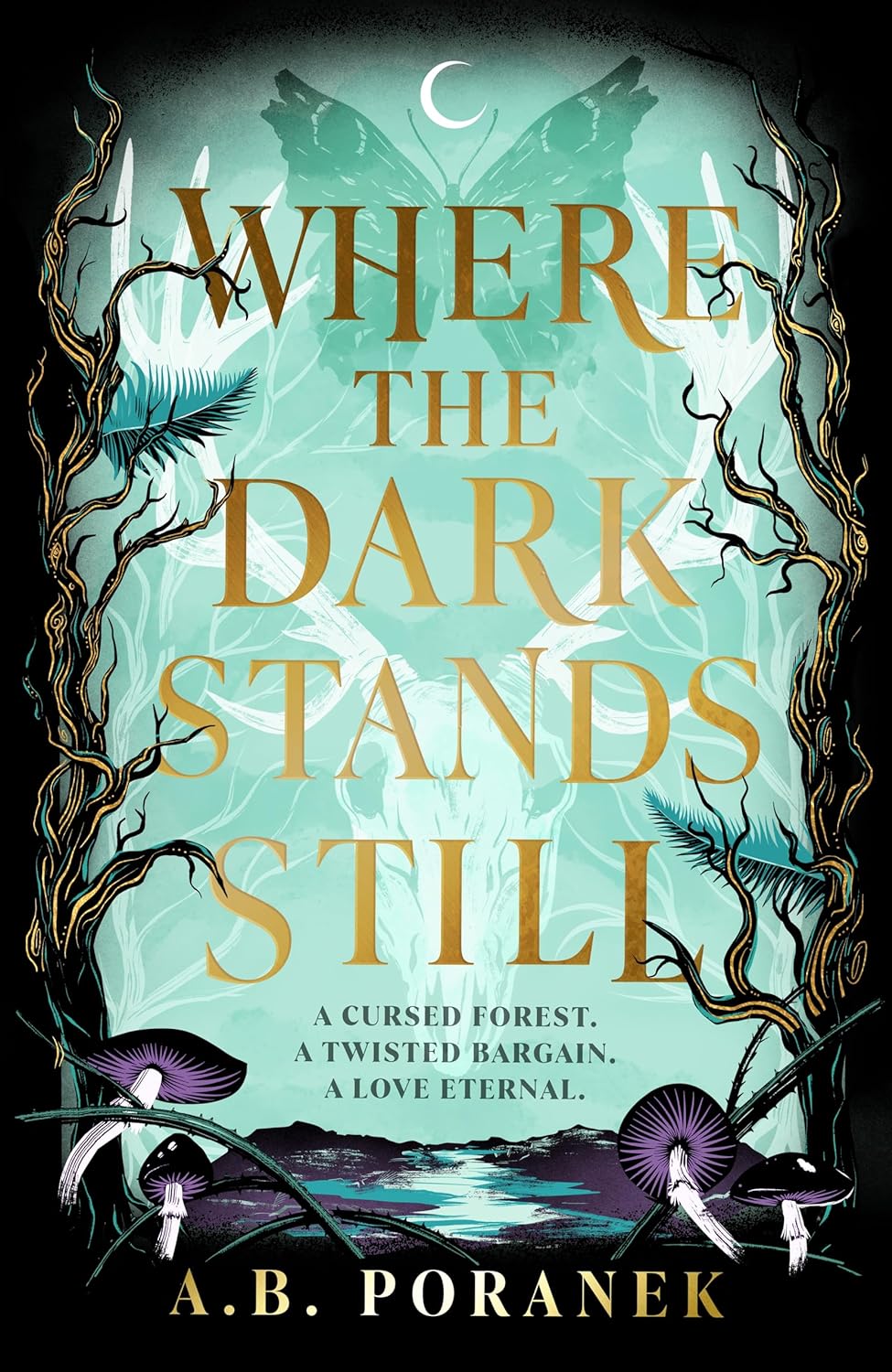 Where the Dark Stands Still