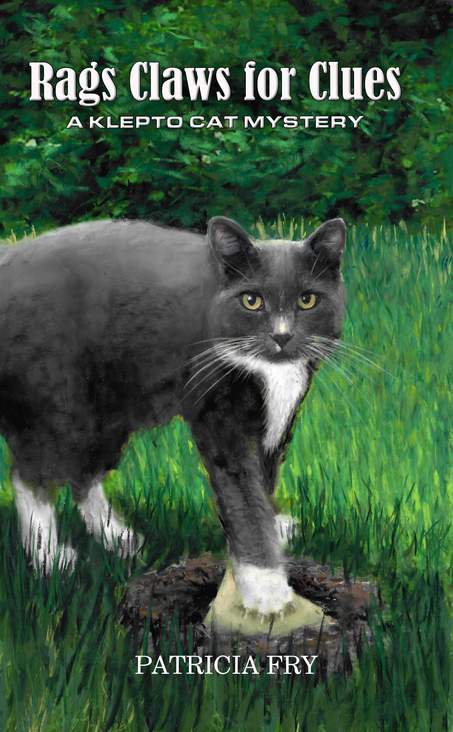 Rags Claws for Clues: A Klepto Cat Mystery