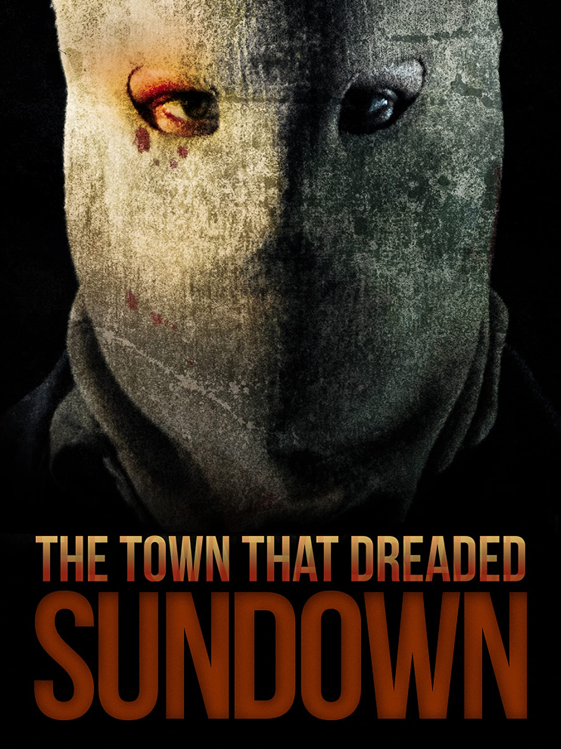 Were You Aware?  South Carolina'S Secret Sundown Town History - 1jfaki0
