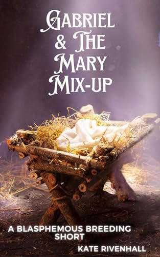 Gabriel & The Mary Mix-up by Kate Rivenhall | Goodreads