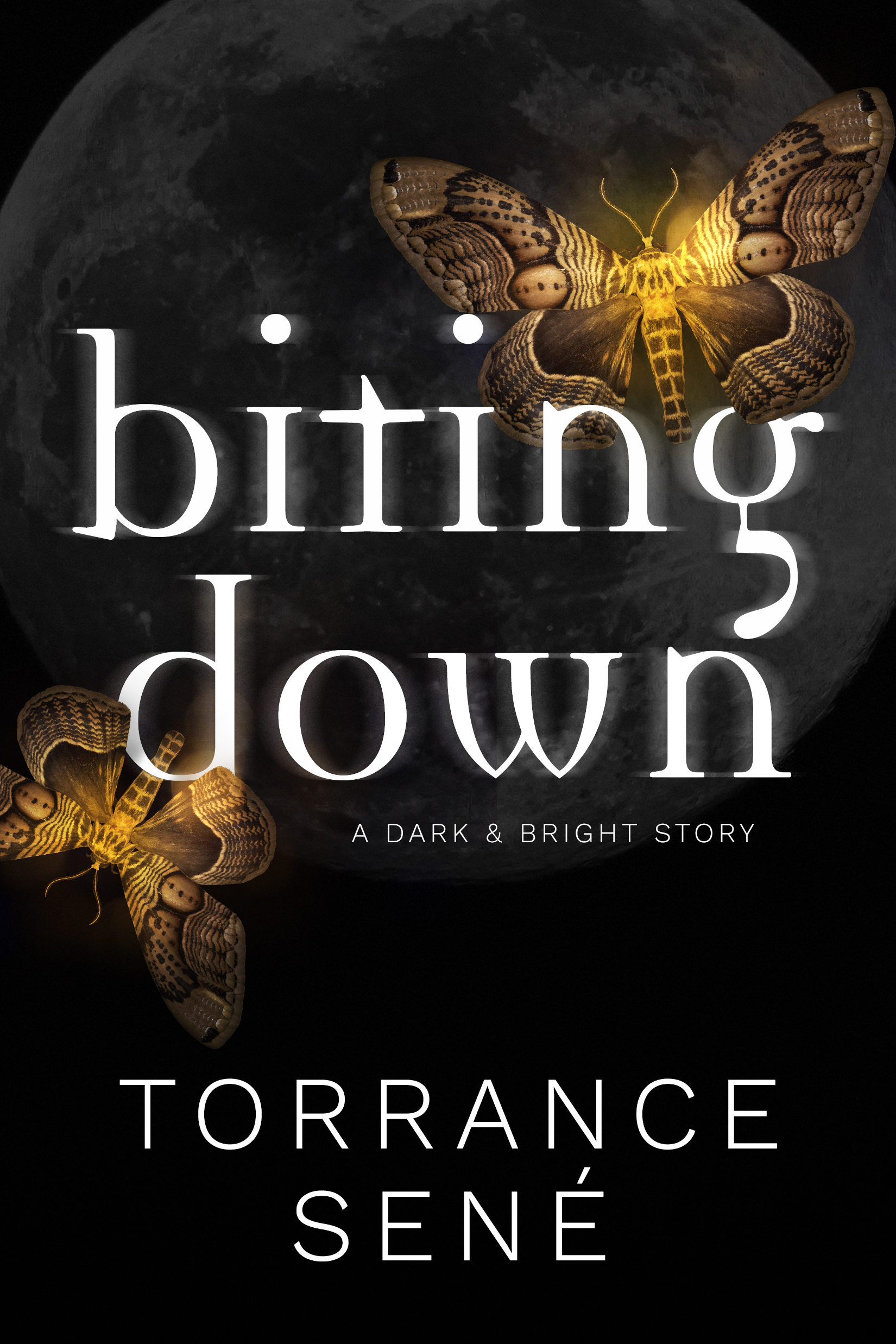 Biting Down book cover