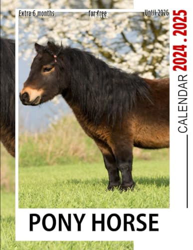 Pony Horse Calendar 2024 - 2025: Three Years Calendar, 30 Images of