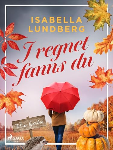 I regnet fanns du (Vilsna hjärtan Book 1)