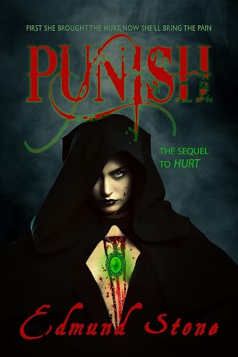 Punish book cover