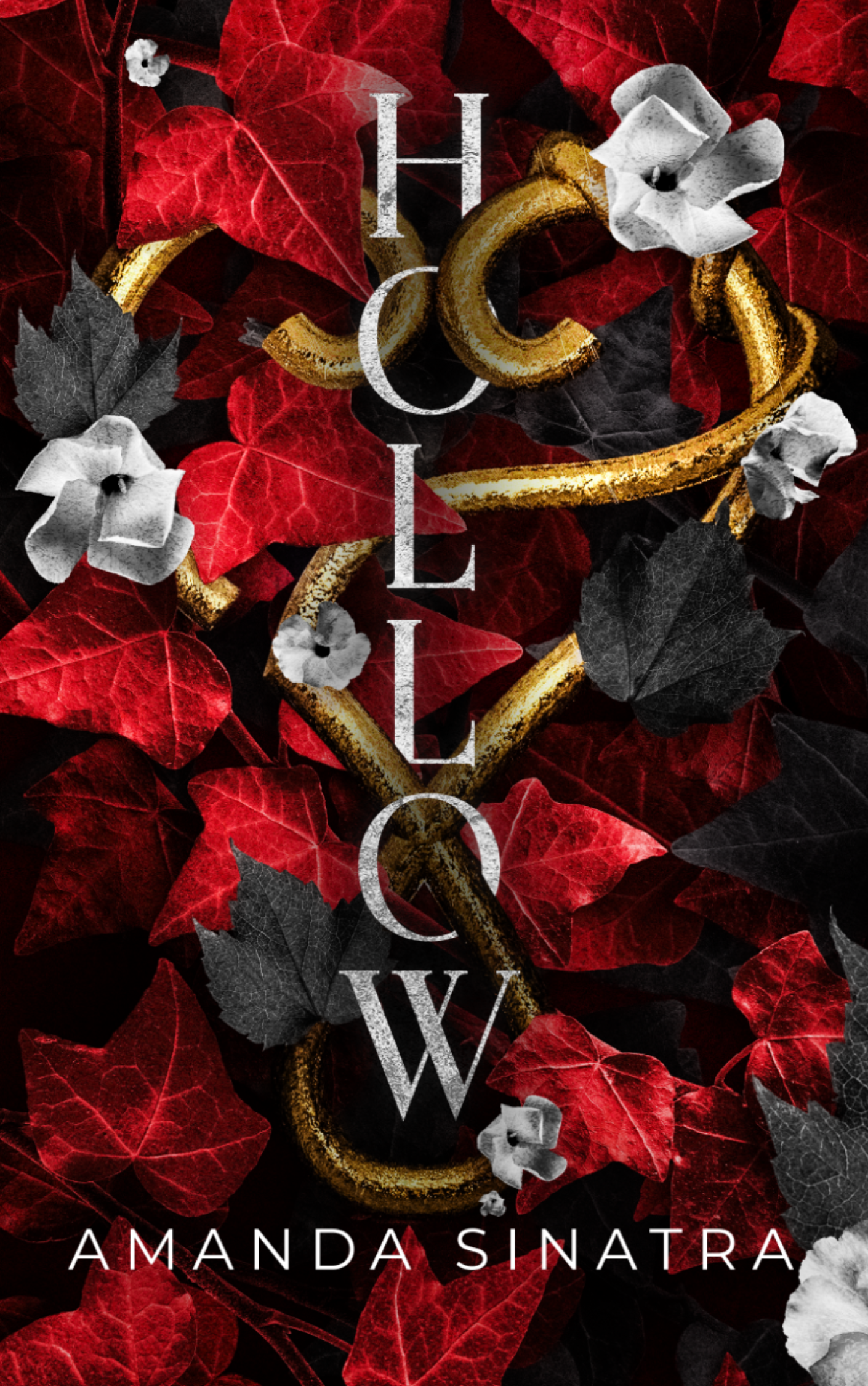 Hollow book cover