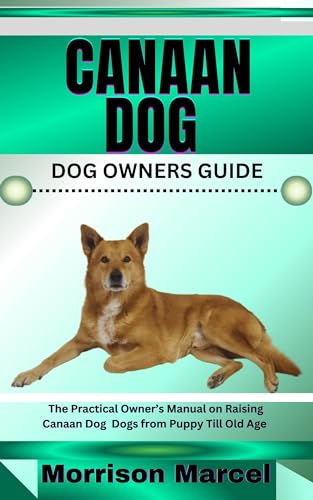CANAAN DOG DOG OWNERS GUIDE : The Practical Owner’s Manual on Raising ...