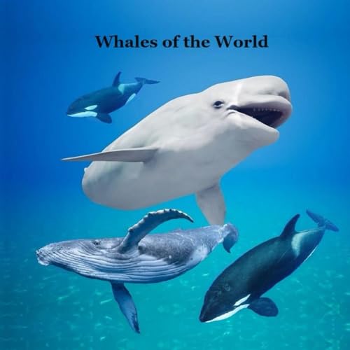 Whales of the World Kids Book Great Way for Kids to Meet the World's Whales by Billy Grinslott