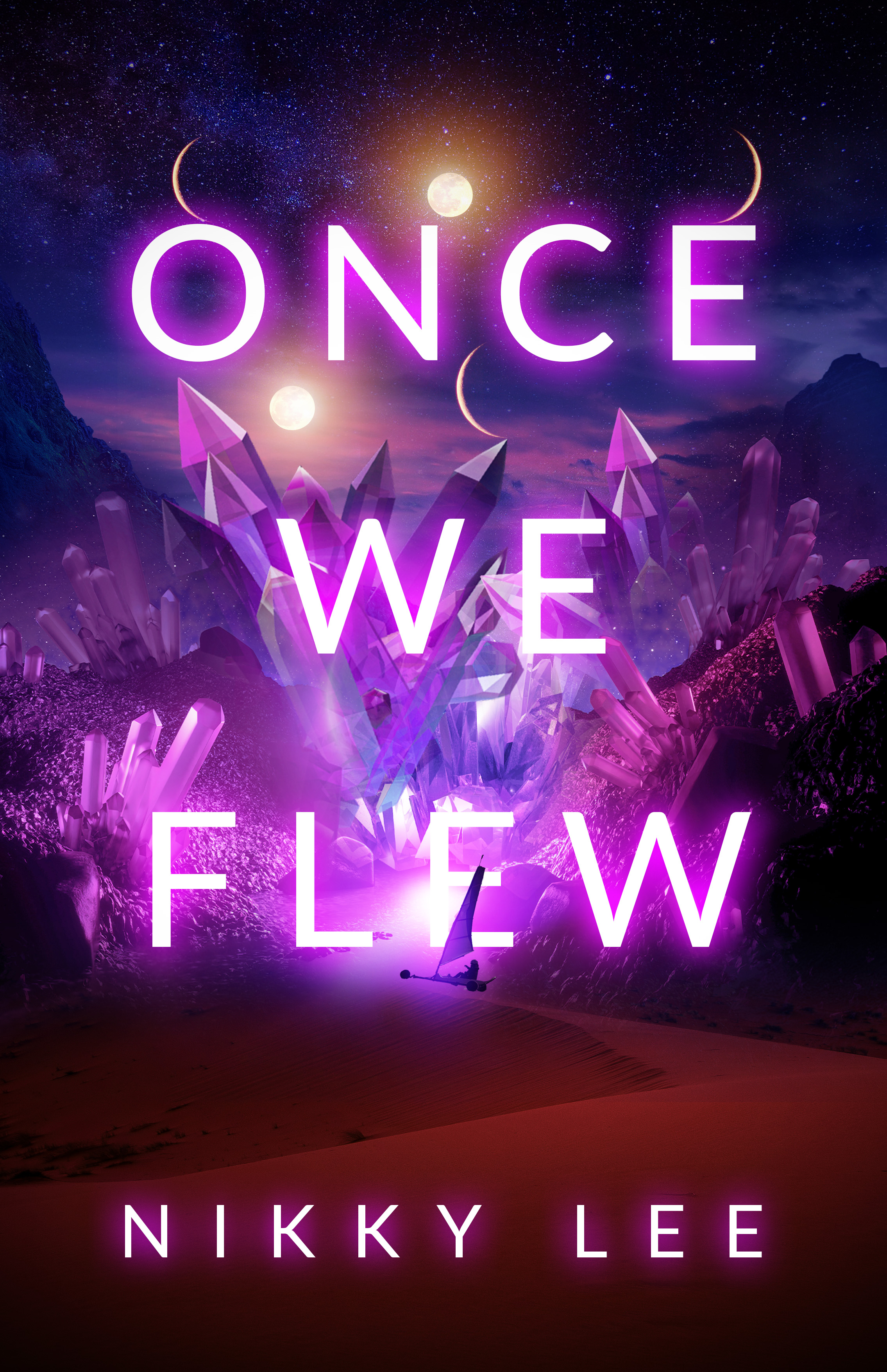 Once We Flew book cover