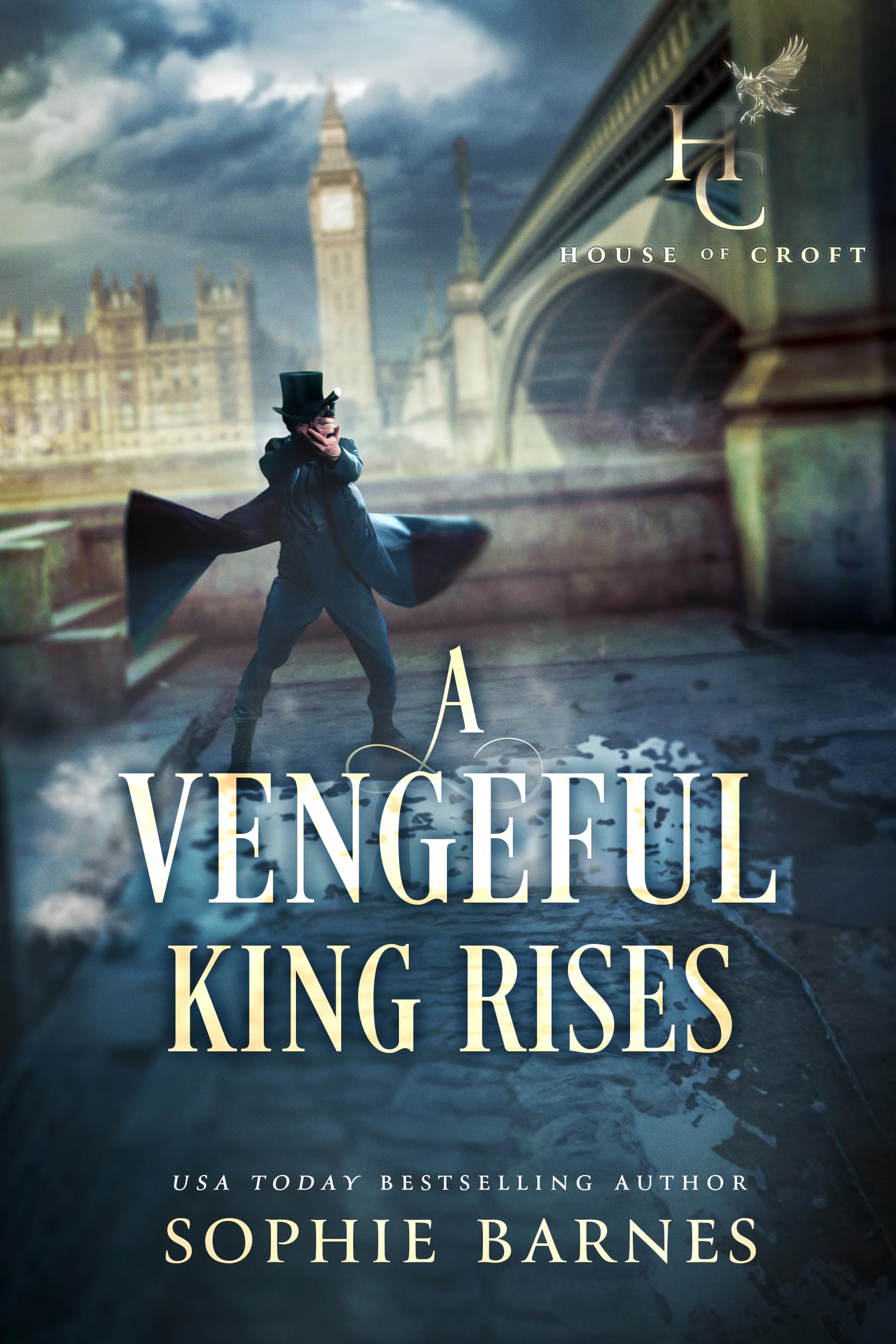 A Vengeful King Rises book cover