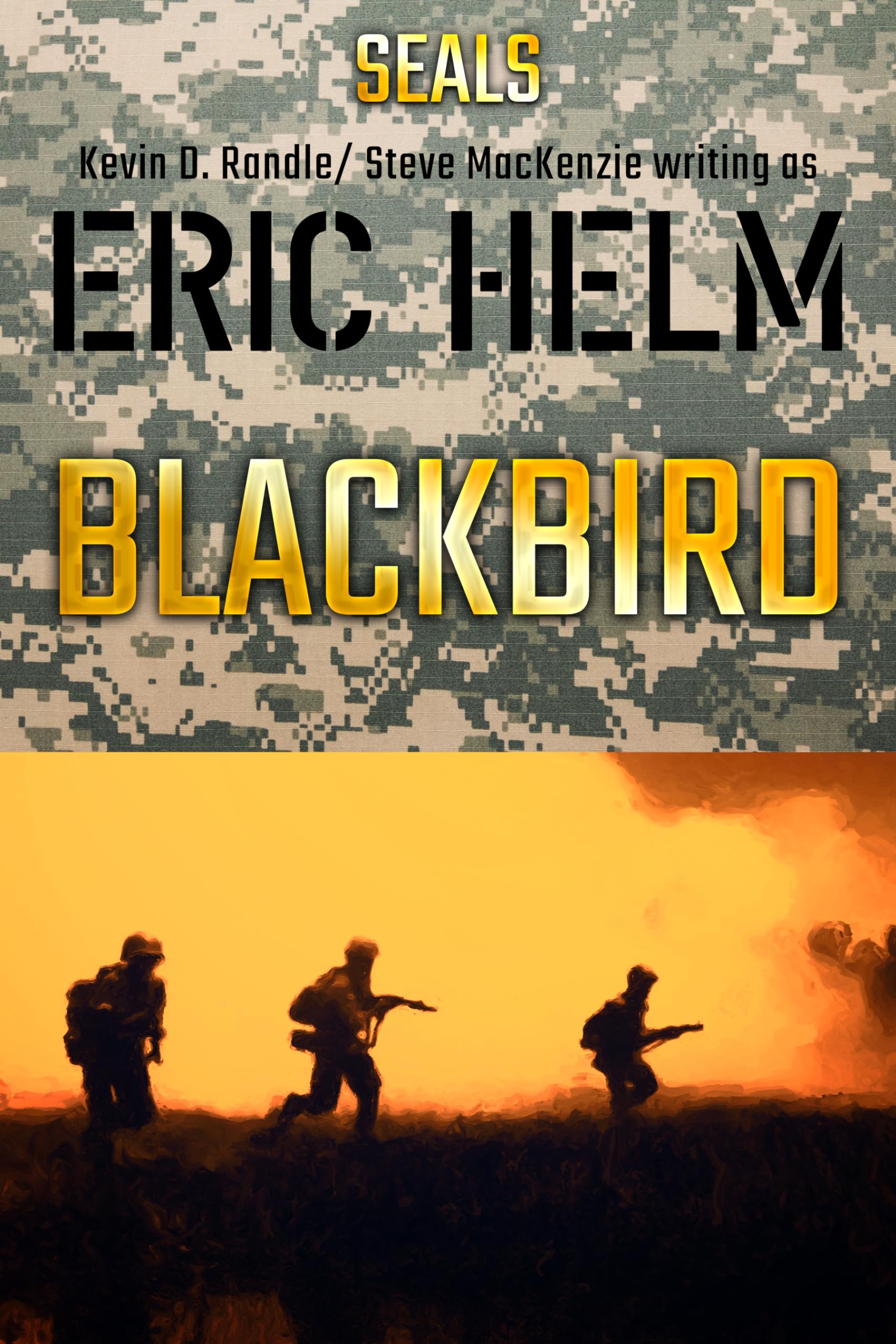 Blackbird: A Seals military adventure