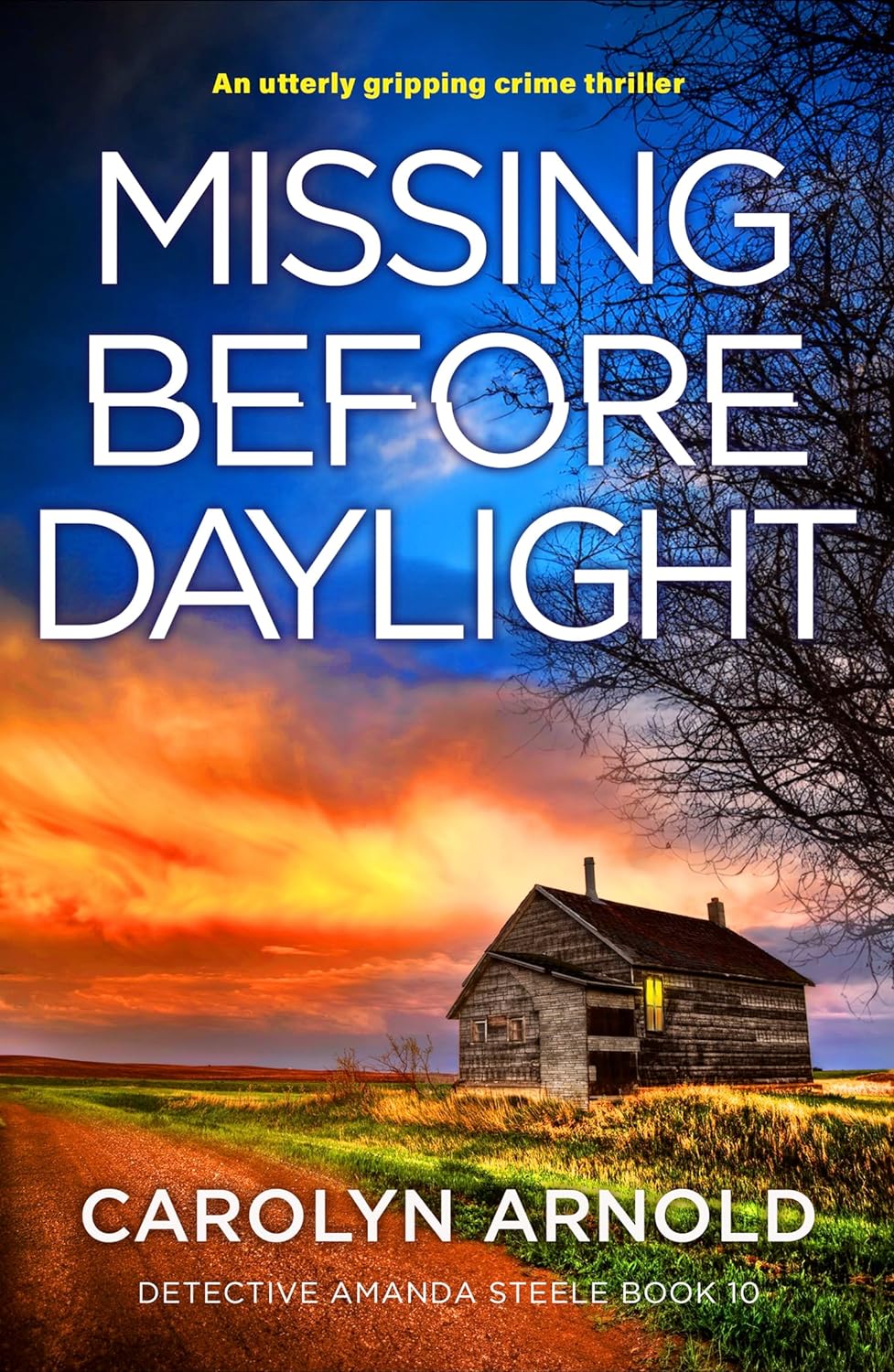 Missing Before Daylight book cover