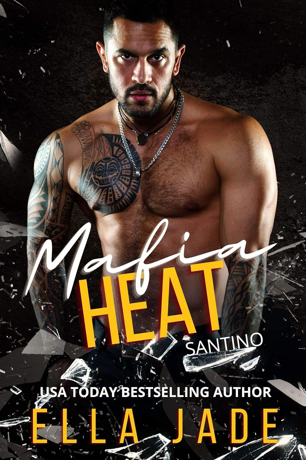 Santino book cover