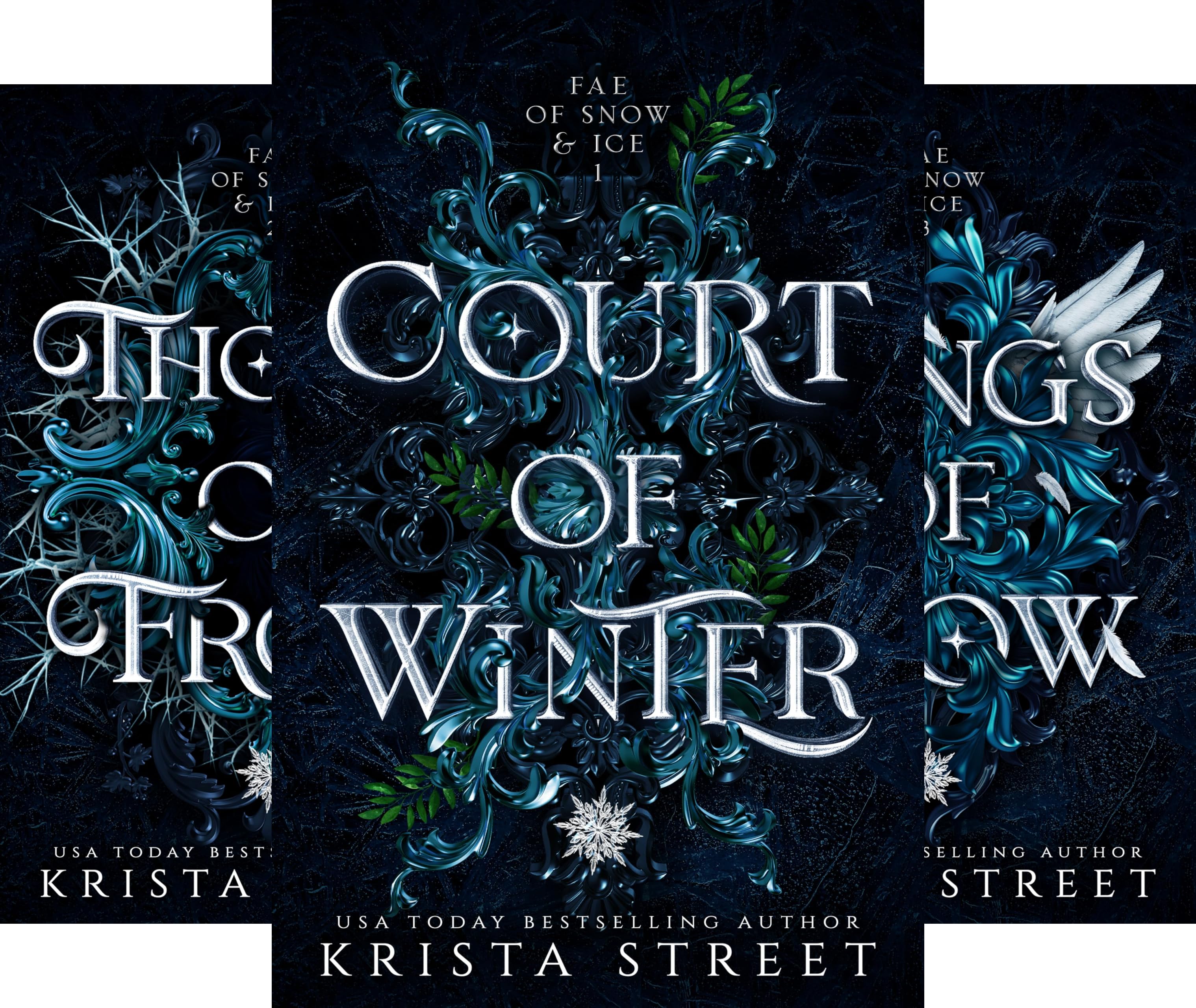 Fae of Snow & Ice book cover