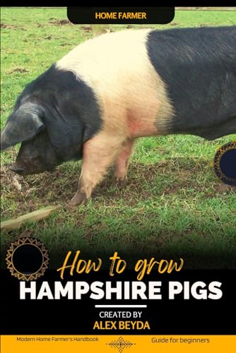 Hampshire Pigs Driving Rural Economies - z2oxf5w