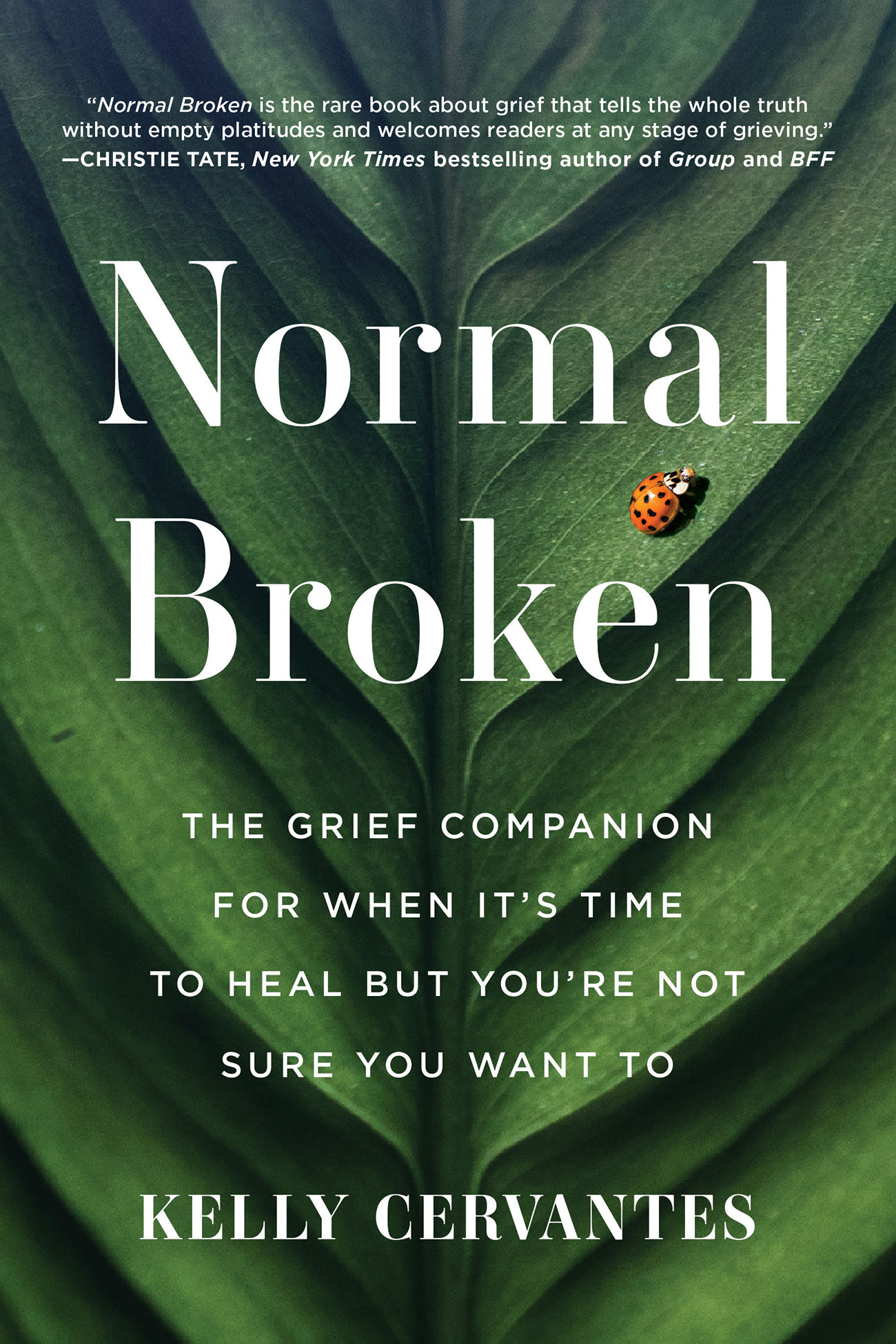 Normal Broken: The Grief Companion for When It's Time to Heal but You're Not Sure You Want to