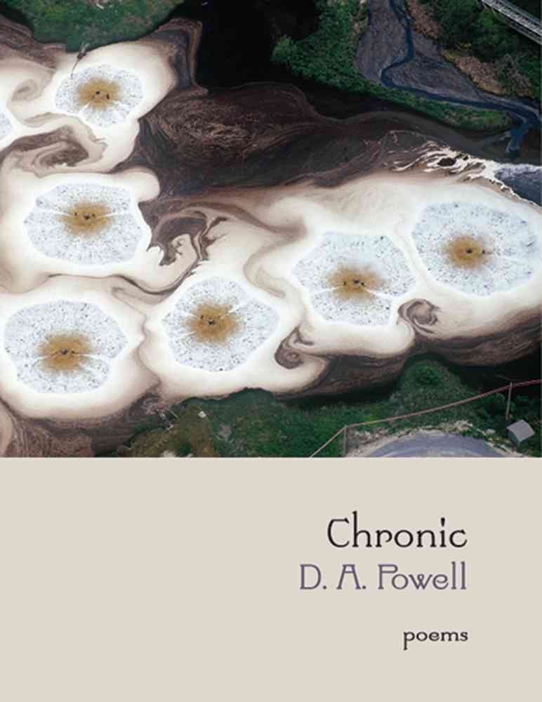 Chronic book cover