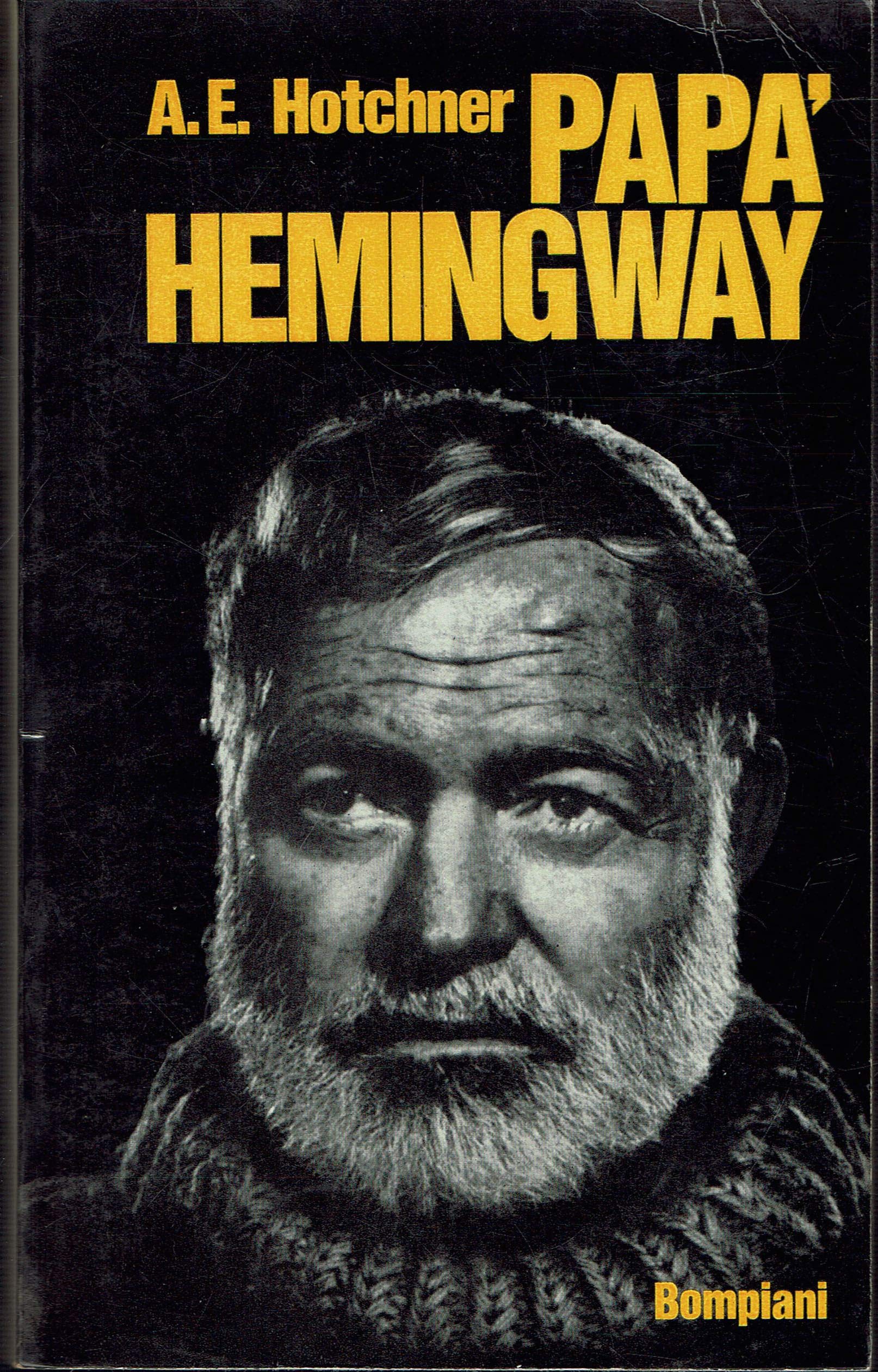 Papa Hemingway book cover