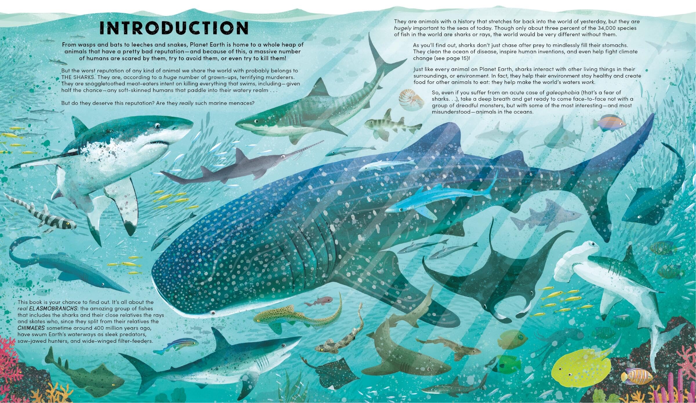 Everything You Know About Sharks is Wrong! by Nick Crumpton Goodreads