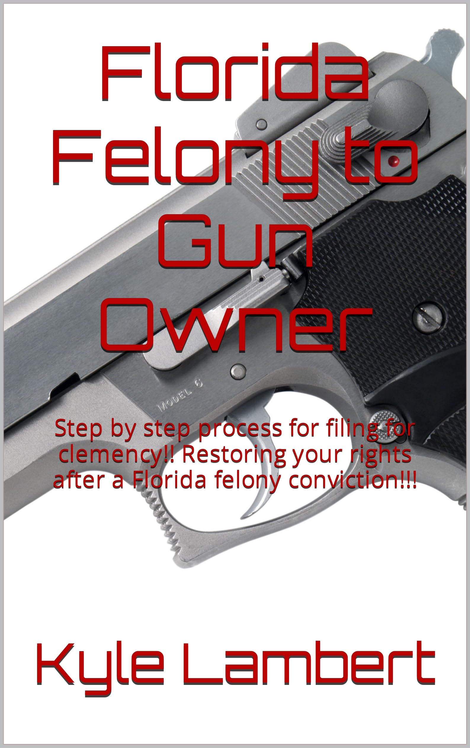 Florida Felony to Gun Owner Step by step process for filing for