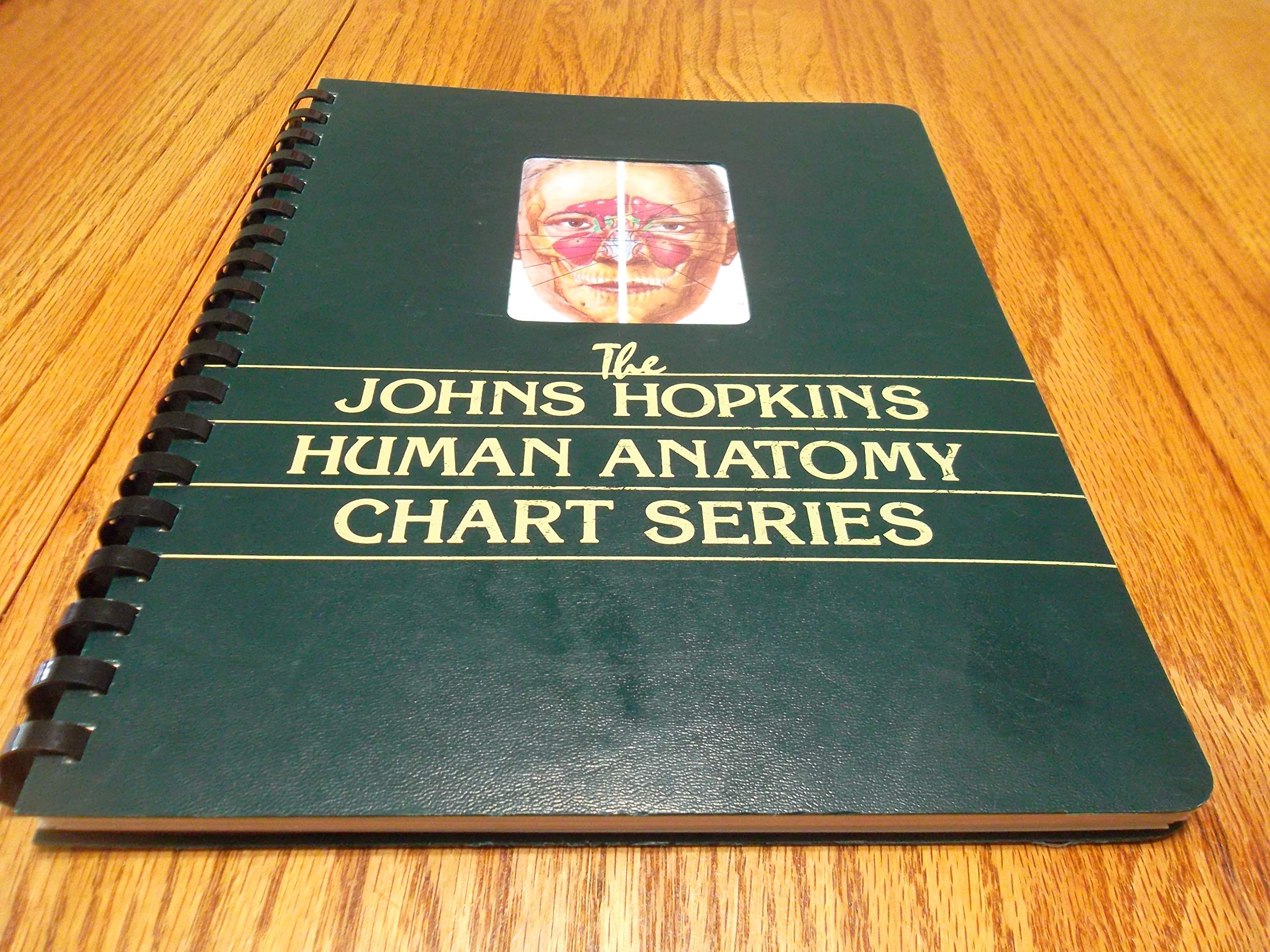 The Johns Hopkins Human Anatomy Chart Series by Johns Hopkins Goodreads