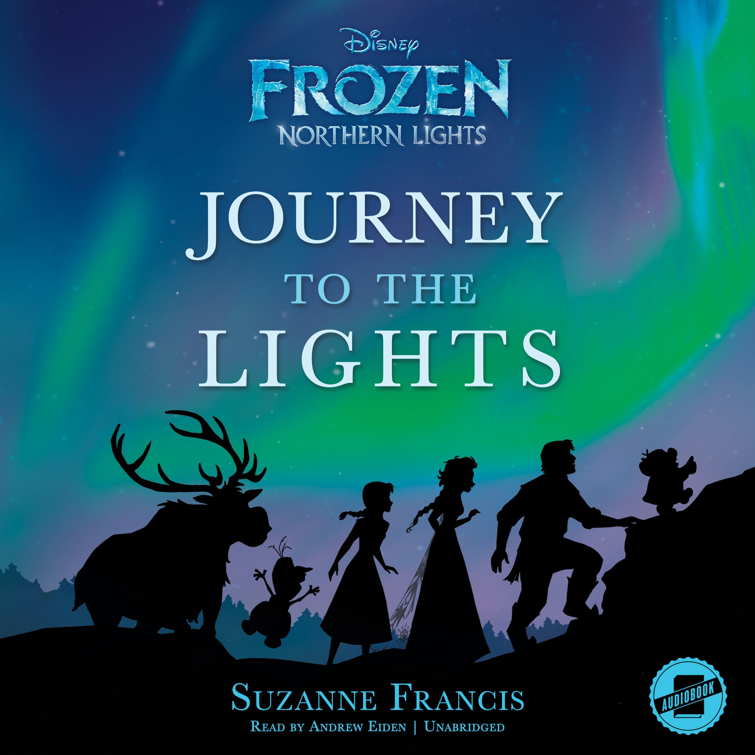 Frozen Northern Lights Journey to the Lights by Suzanne Francis
