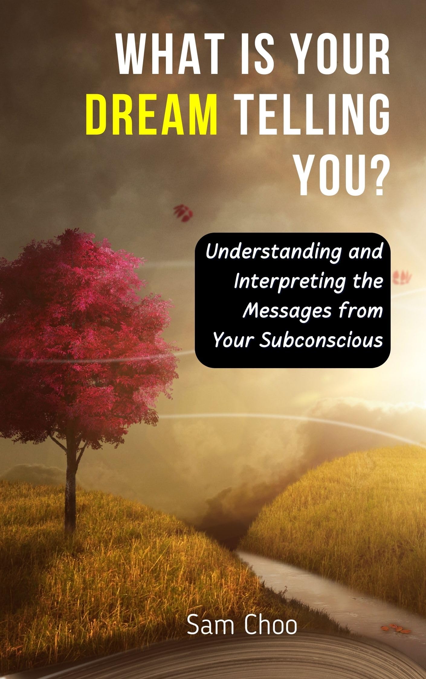 What Is Your Dream Telling You? Understanding and Interpreting the