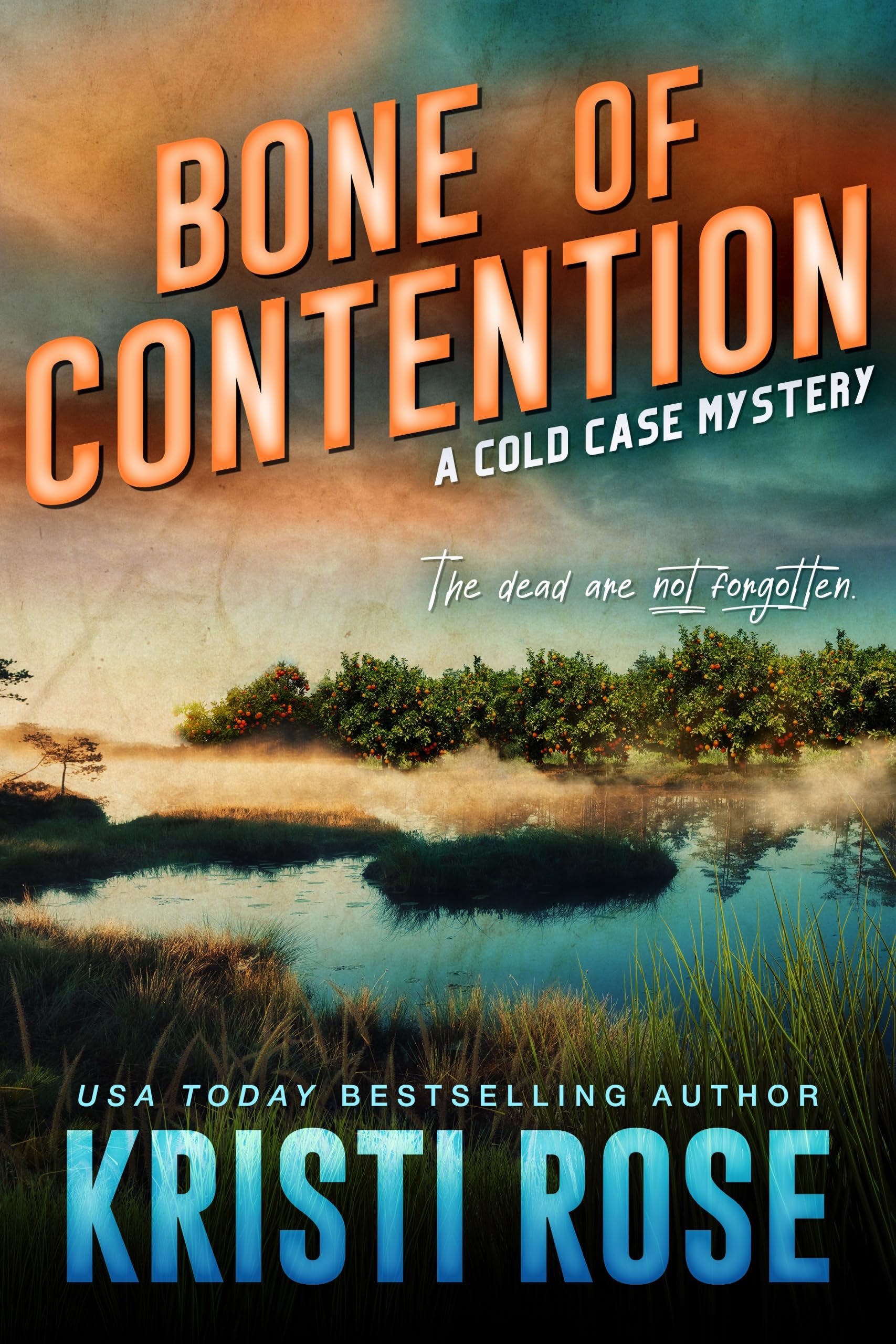 A Cold Case Mystery book cover 1