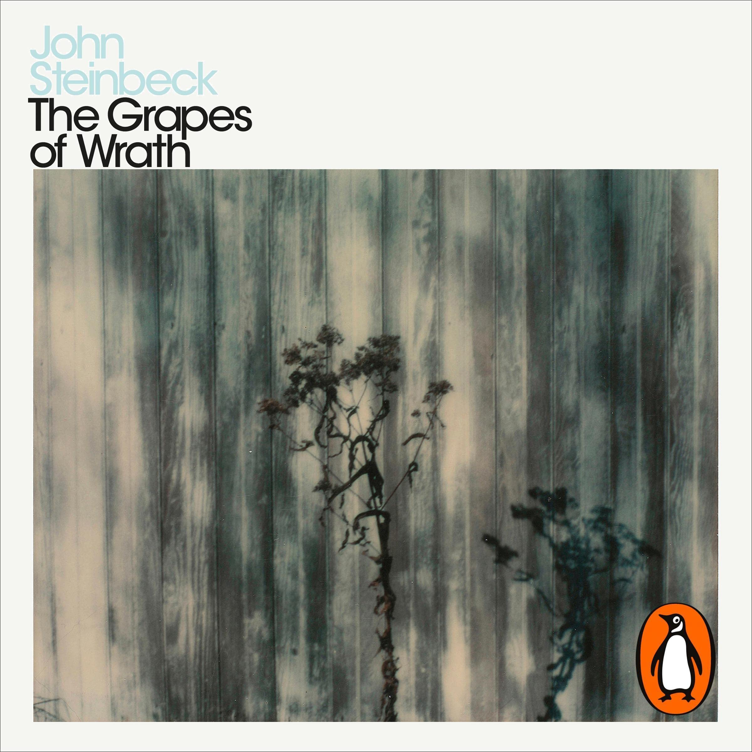 The Grapes of Wrath Penguin Modern Classics by Robert DeMott