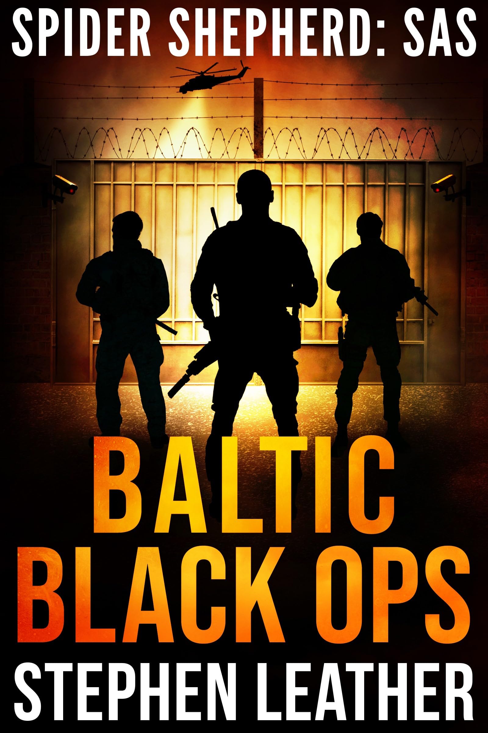 Baltic Black Ops book cover