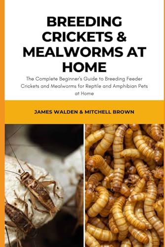 Photo inspiration: Visual Reference: Breeding Crickets Mealworms At Home The Complete Beginner S Guide