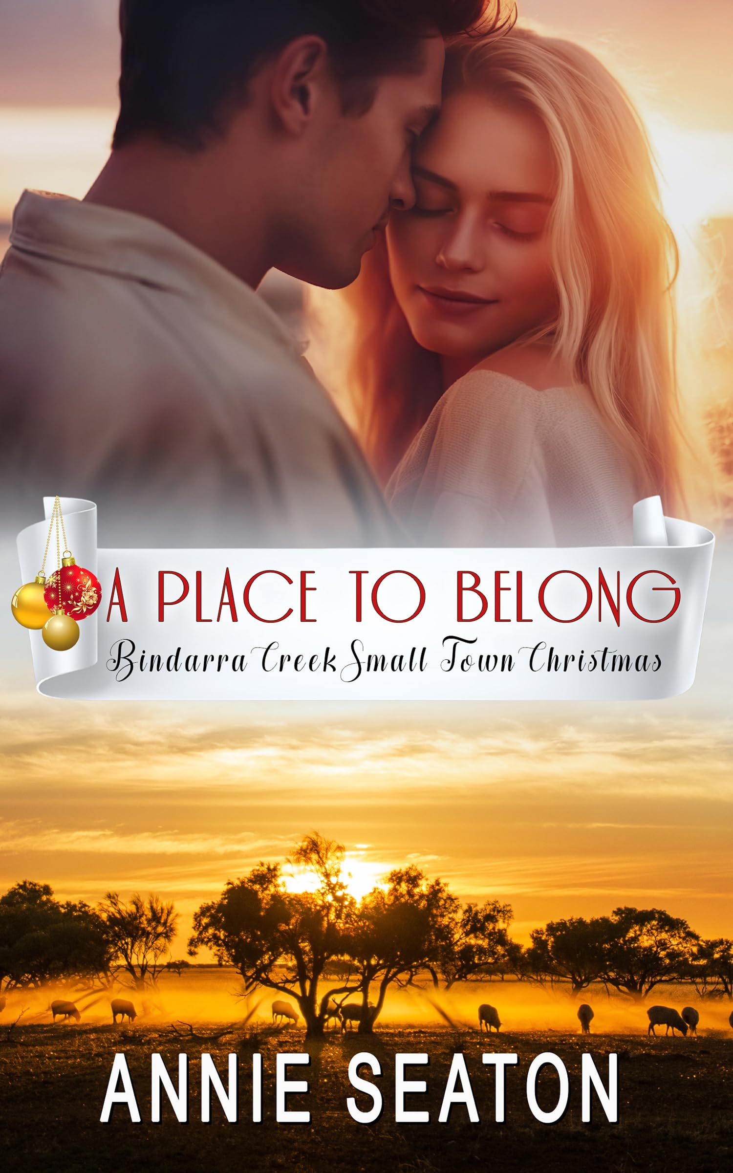 A Place to Belong book cover