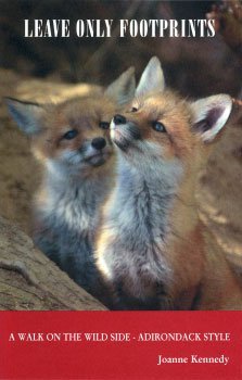 Leave Only Footprints - A Walk on the Wild Side - Adirondack Style book cover