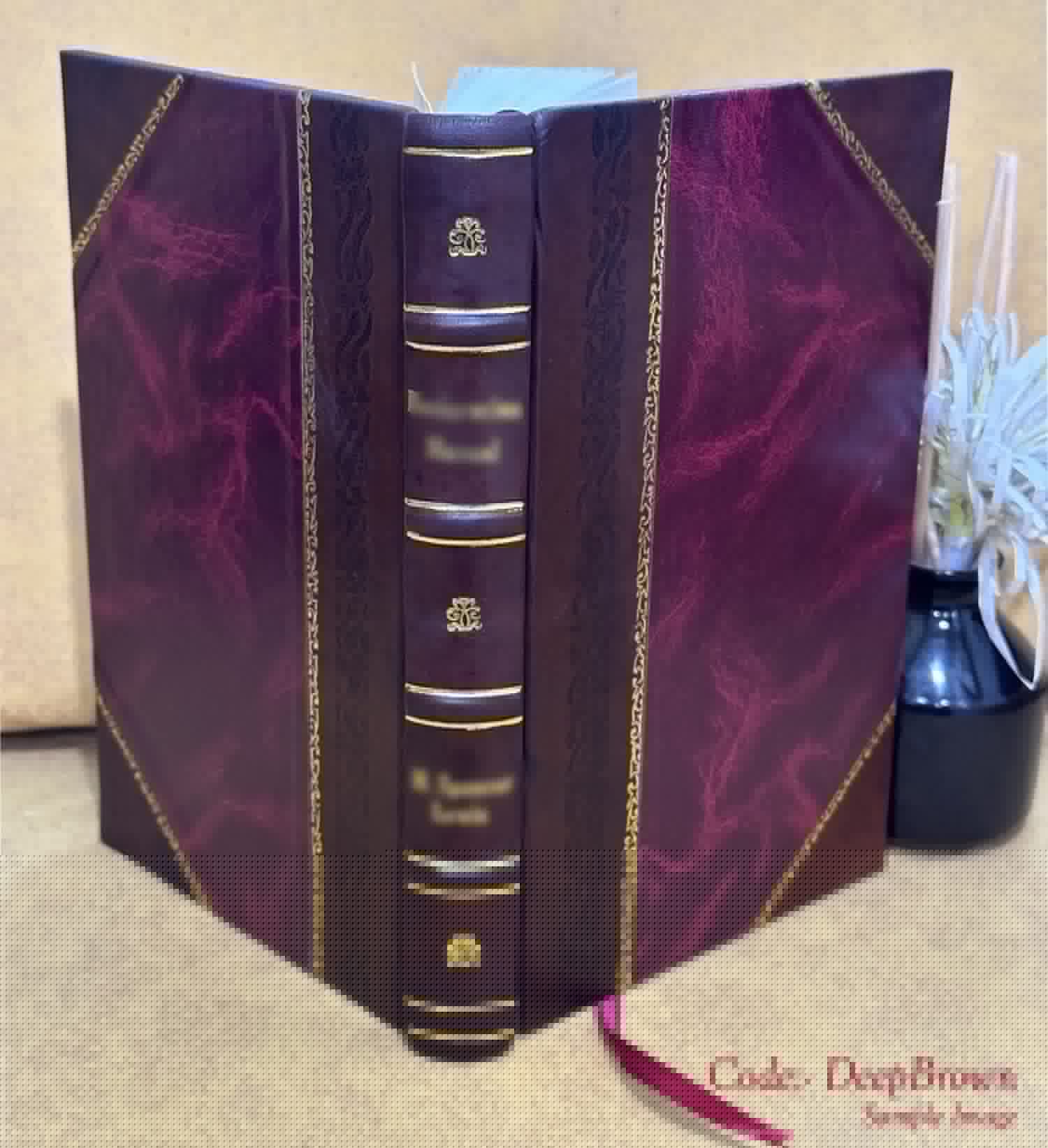 Odissea; Volume v.1 1919 [Leather Bound] book cover